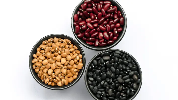 types of beans