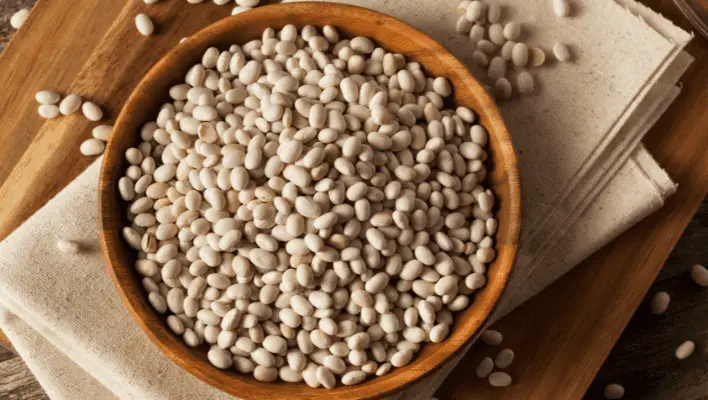 9 Best Navy Beans Substitute Options - 7 Is Surprising!